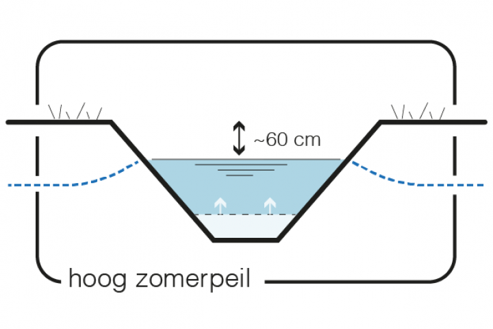 Maatregel 2 Peilverhoging - hoog zomerpeil